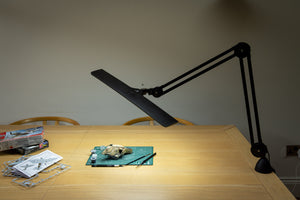 CSR_9833.jpg