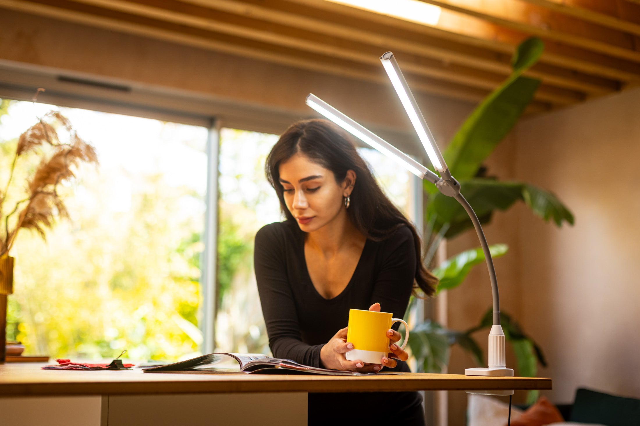 DuoPro Clamp Lamp