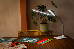 N1550_DuoPro_Table_CSR_0056.jpg