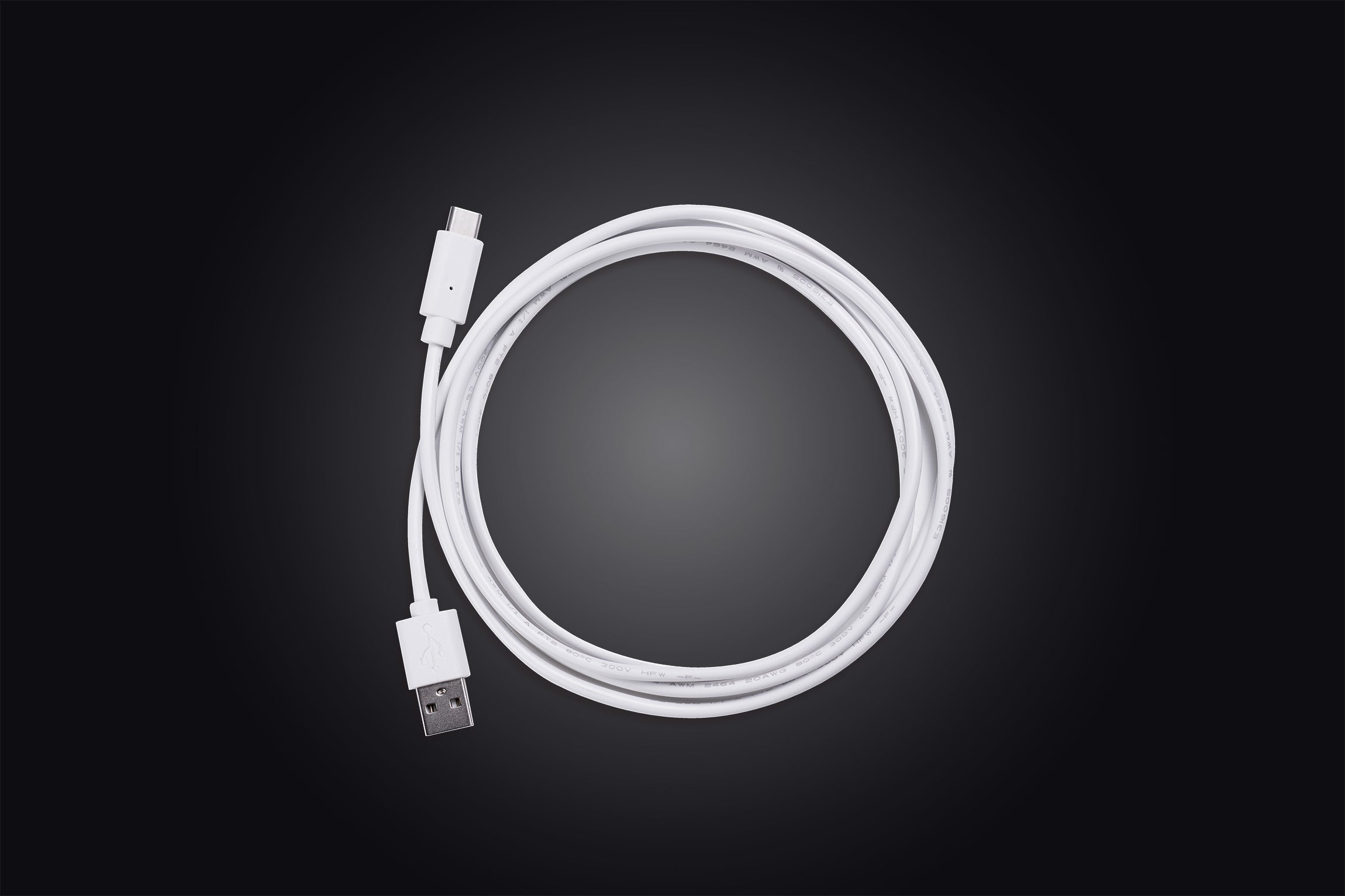 USB-C Cable