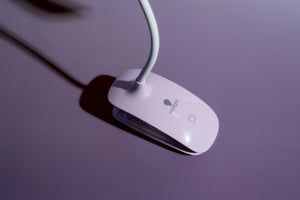 lilac_BG_DLC5510_copy.jpg