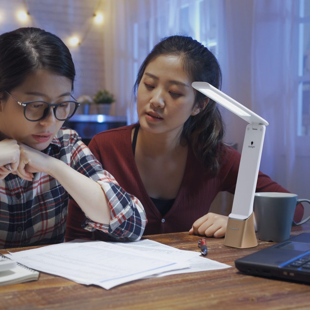 N1370 Smart Go – SL – 02 – Looking at document