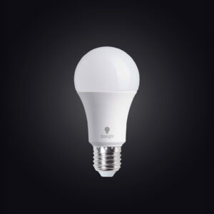 19W Daylight LED Bulb