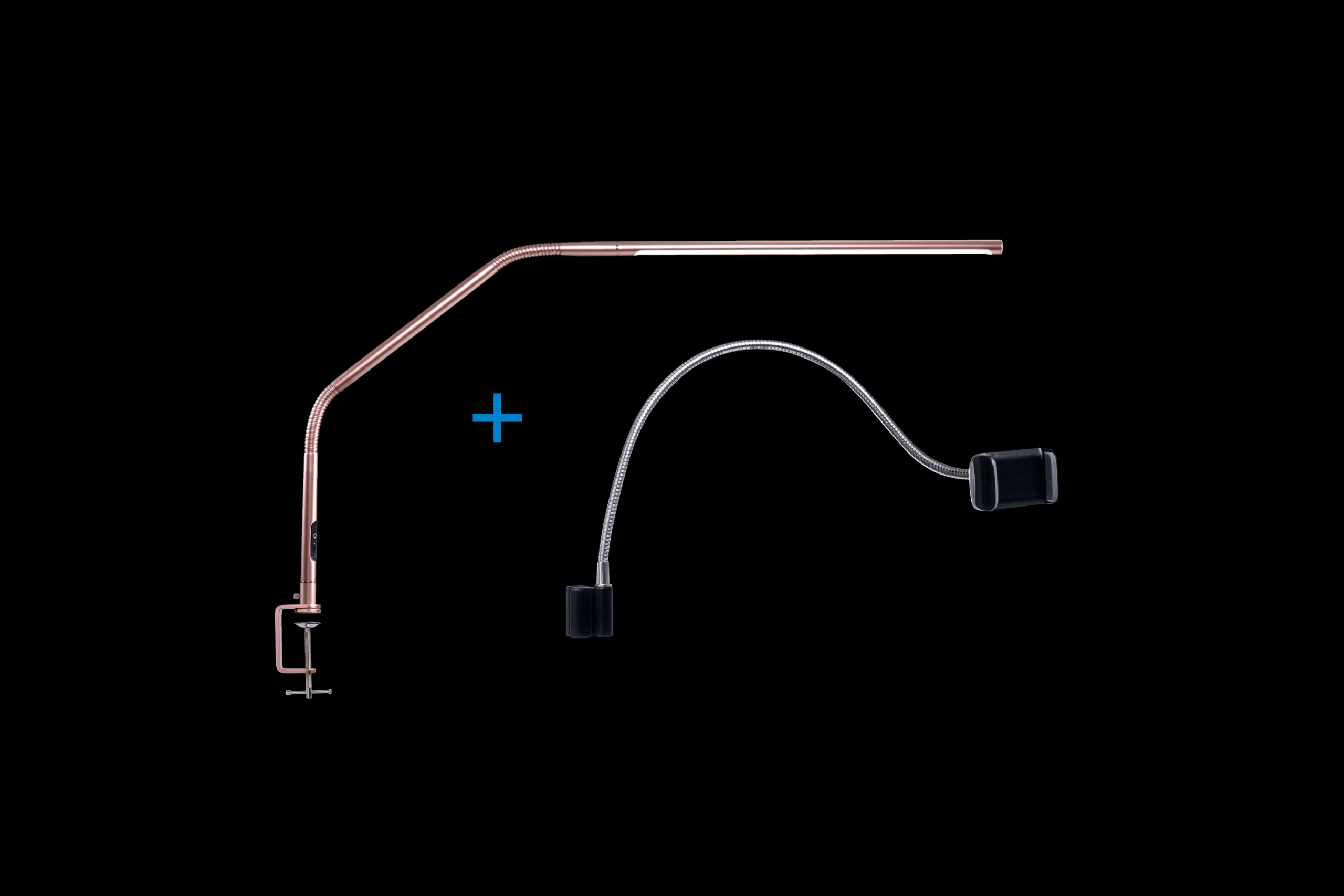 Twist 2 – The Daylight Company